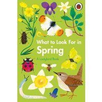 What to Look for in Spring
