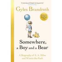 Somewhere, a Boy and a Bear