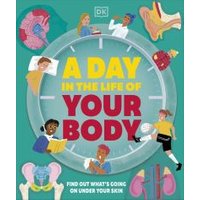 A Day in the Life of Your Body