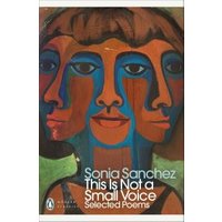 This Is Not a Small Voice
