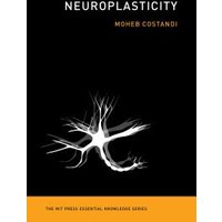 Neuroplasticity