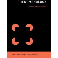 Phenomenology