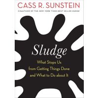 Sludge