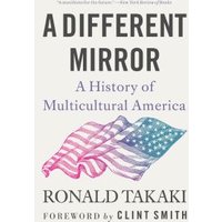 A Different Mirror