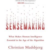 Sensemaking