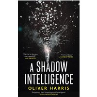 A Shadow Intelligence