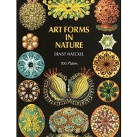 Art Forms in Nature