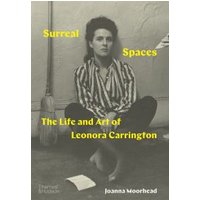 Surreal Spaces