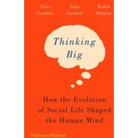 Thinking Big