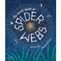 The Secret World of Spider Webs