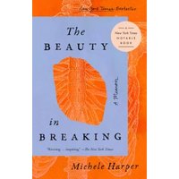 The Beauty in Breaking