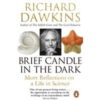 Brief Candle in the Dark