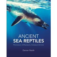 Ancient Sea Reptiles