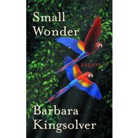 Small Wonder