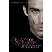 Blaze of Memory
