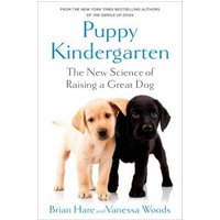 Puppy Kindergarten