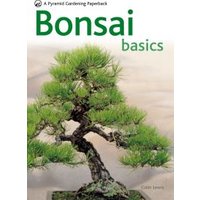 Bonsai Basics