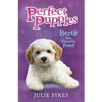 Bertie the Friendly Puppy