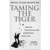 Taming the Tiger