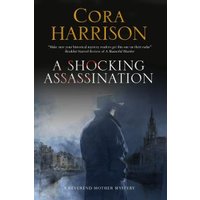 A Shocking Assassination