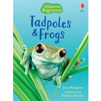 Tadpoles and Frogs
