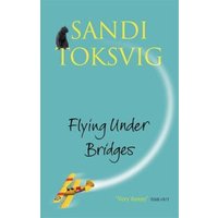 Flying Under Bridges