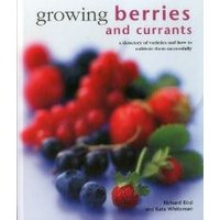 Growing Berries and Currants