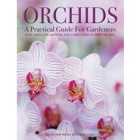 Orchids