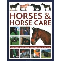 Horses & Horse Care