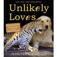 Unlikely Loves