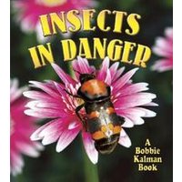 Insects in Danger
