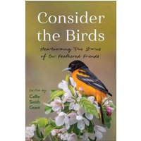 Consider the Birds