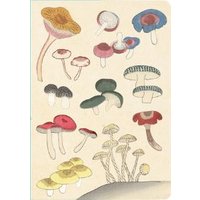 Healing Mushrooms Paperback Journal