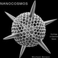 Nanocosmos