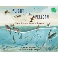 Plight of the Pelican