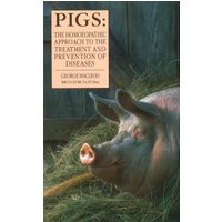 Pigs