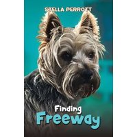 Finding Freeway