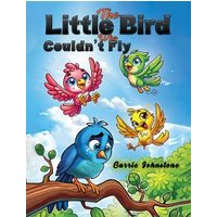 The Little Bird Who Couldn't Fly