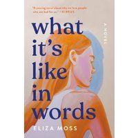 What It's Like in Words