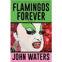 Flamingos Forever