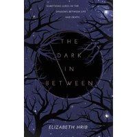 The Dark In-Between