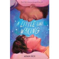 A Little Like Waking