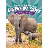 Elephant Cows