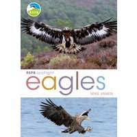 Eagles