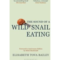 The Sound of a Wild Snail Eating