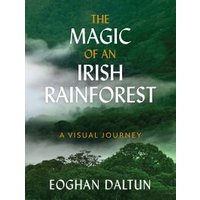 The Magic of an Irish Rainforest