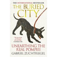 The Buried City