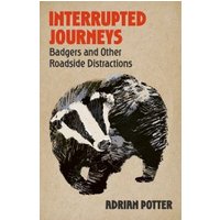 Interrupted Journeys