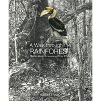 A Walk Through the Rainforest
