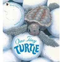 One Tiny Turtle